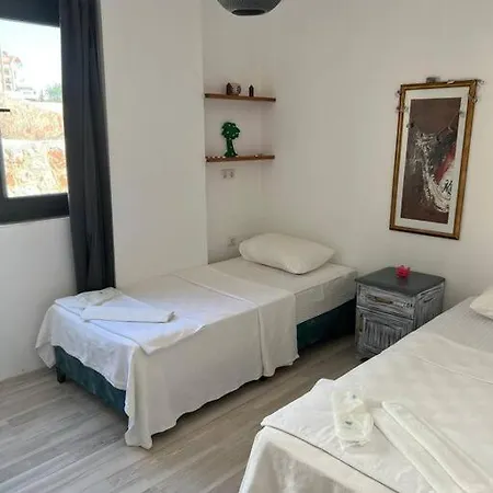 Ozy * Kaş